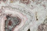 Polished Crazy Lace Agate Slab - Mexico #326107-1